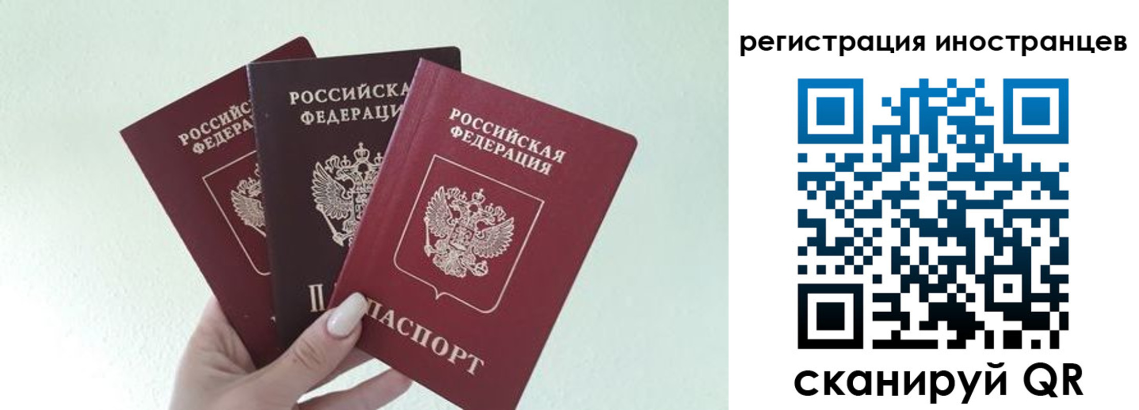 миграционный учет в Фокино